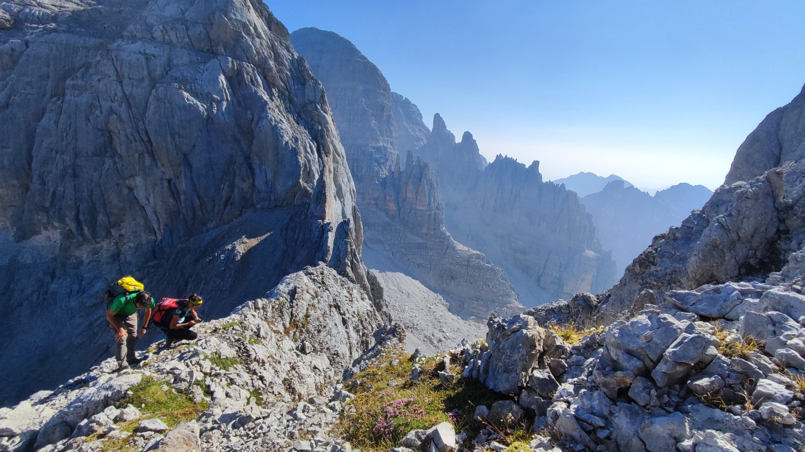 Wälder und Pflanzen in der aktuellen Klimakrise: der Fall der Euregio – Museo Civico di Rovereto